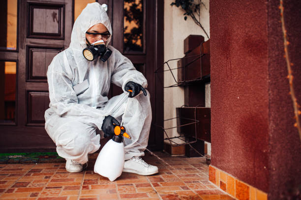 Reliable Cockroach Control contractor in Peridot, AZ by Nex Pest Control